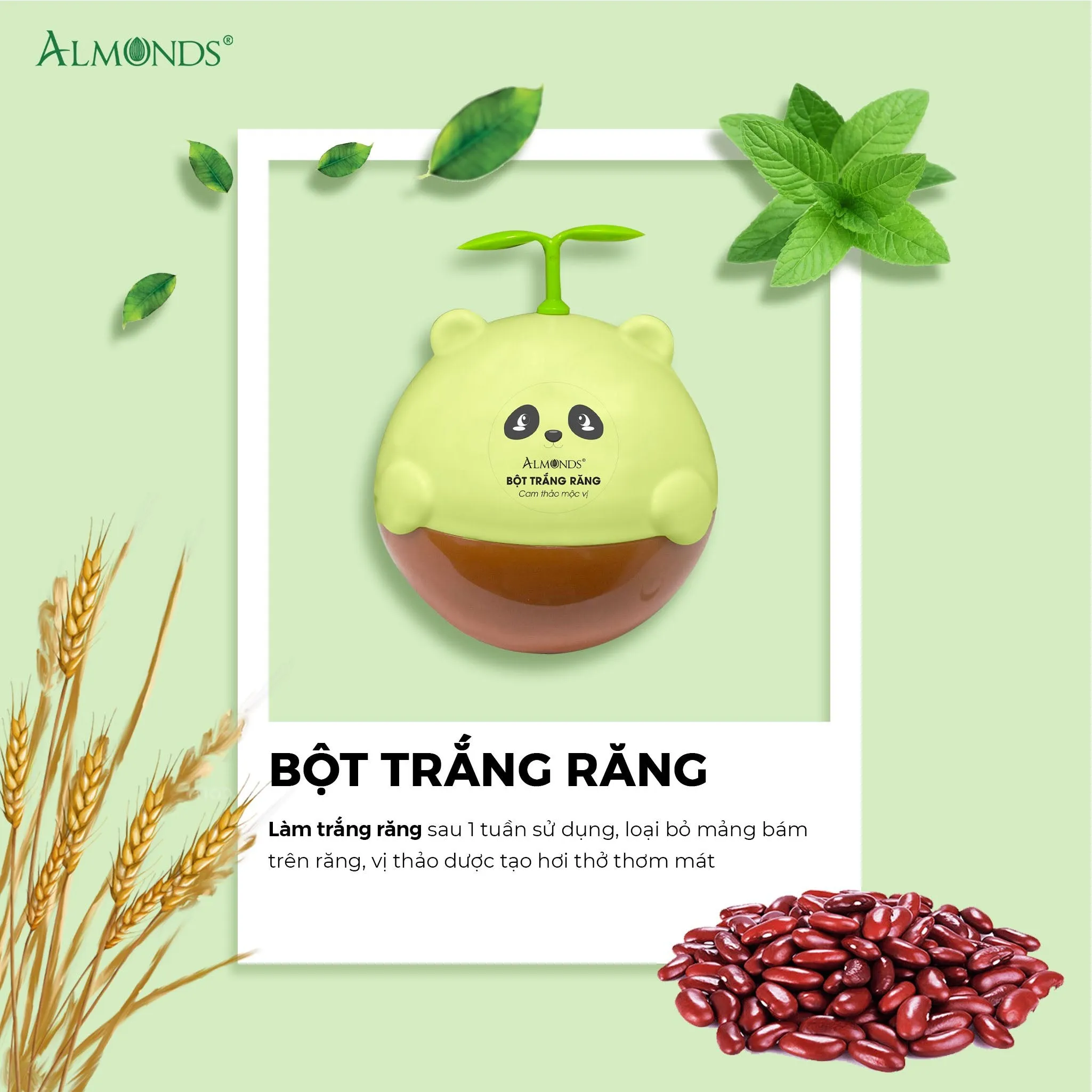 Bột Trắng Răng Almonds vị Cam Thảo 50g