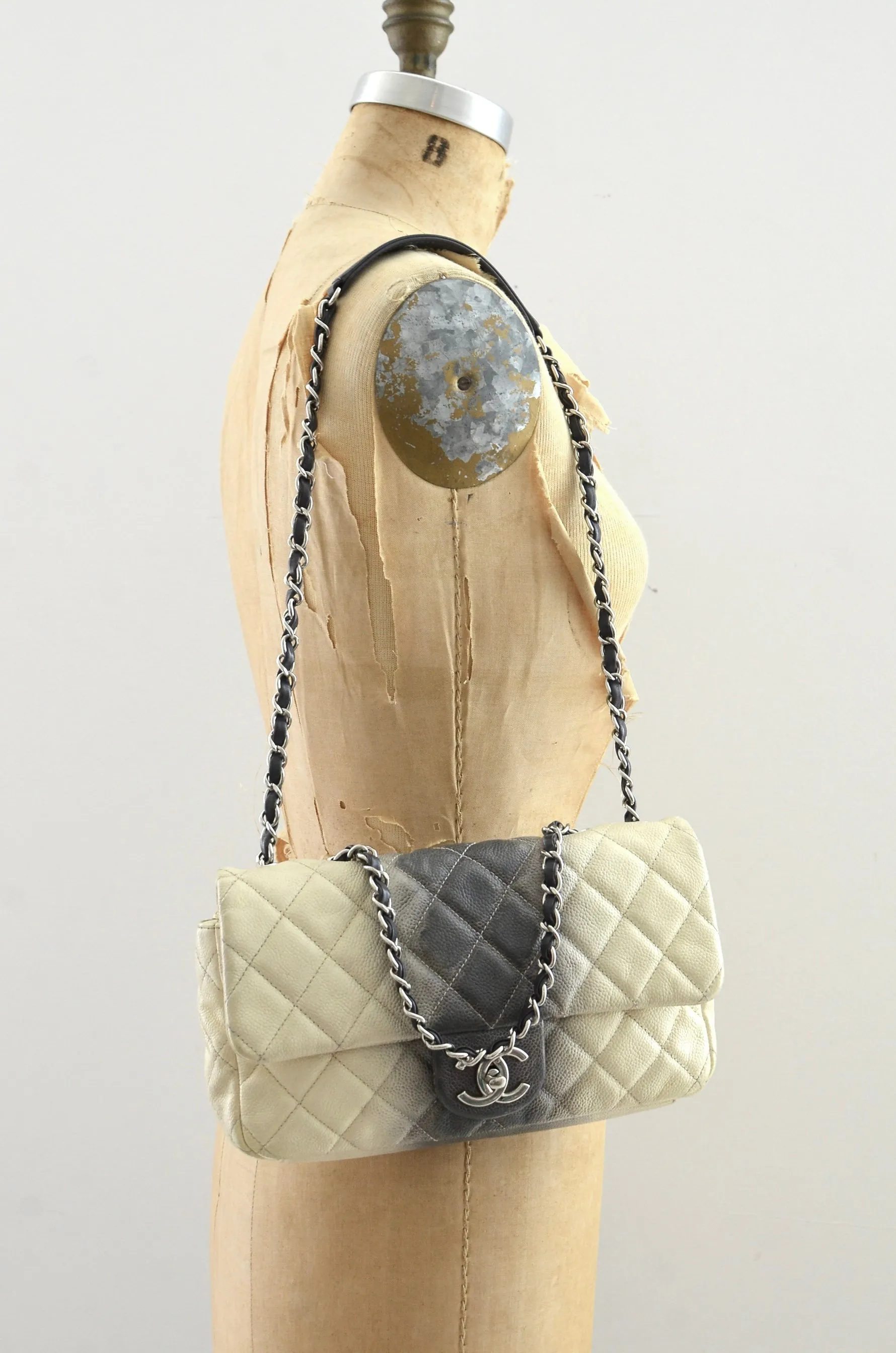 CHANEL Ombré Flap Bag