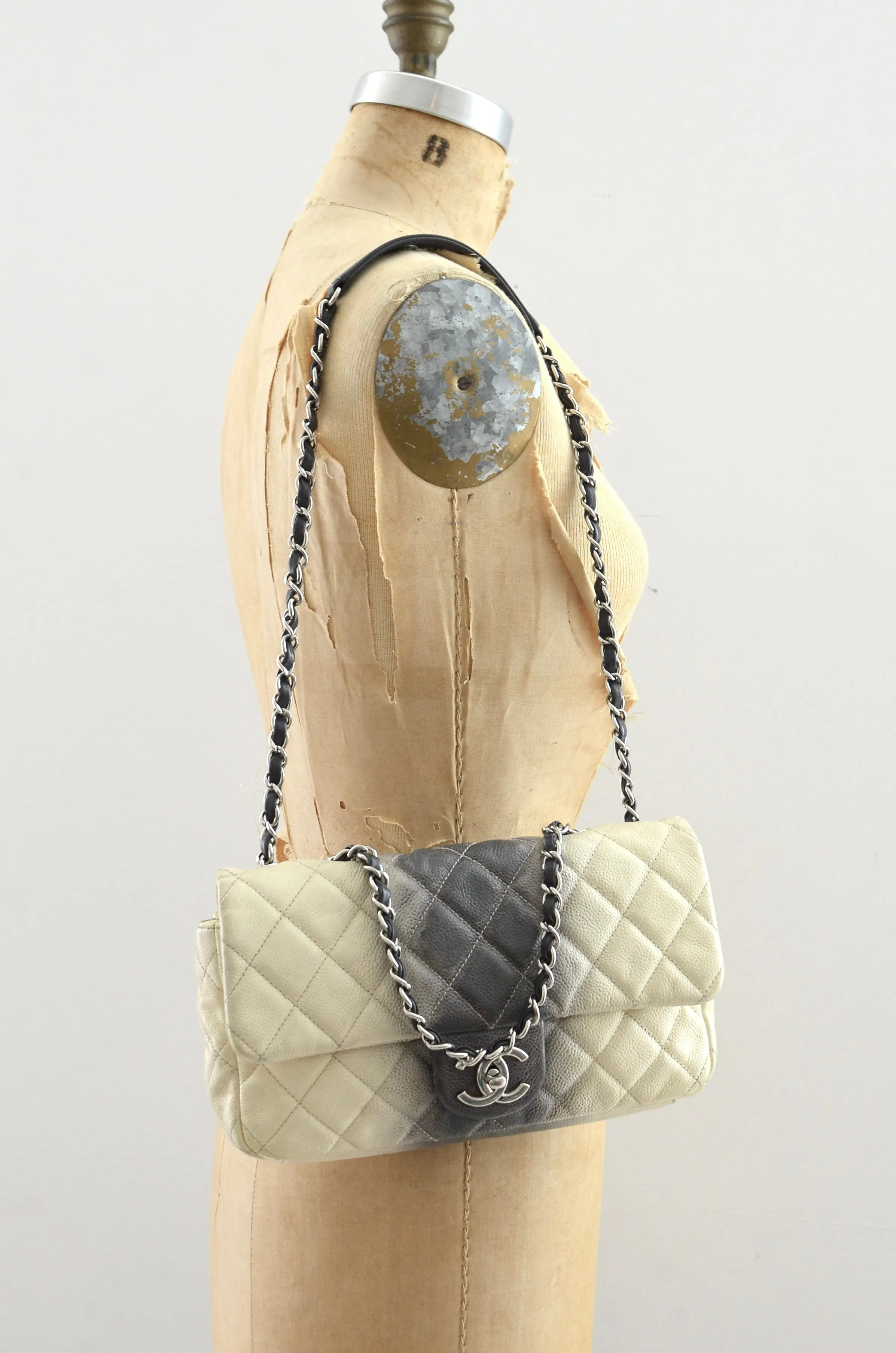 CHANEL Ombré Flap Bag