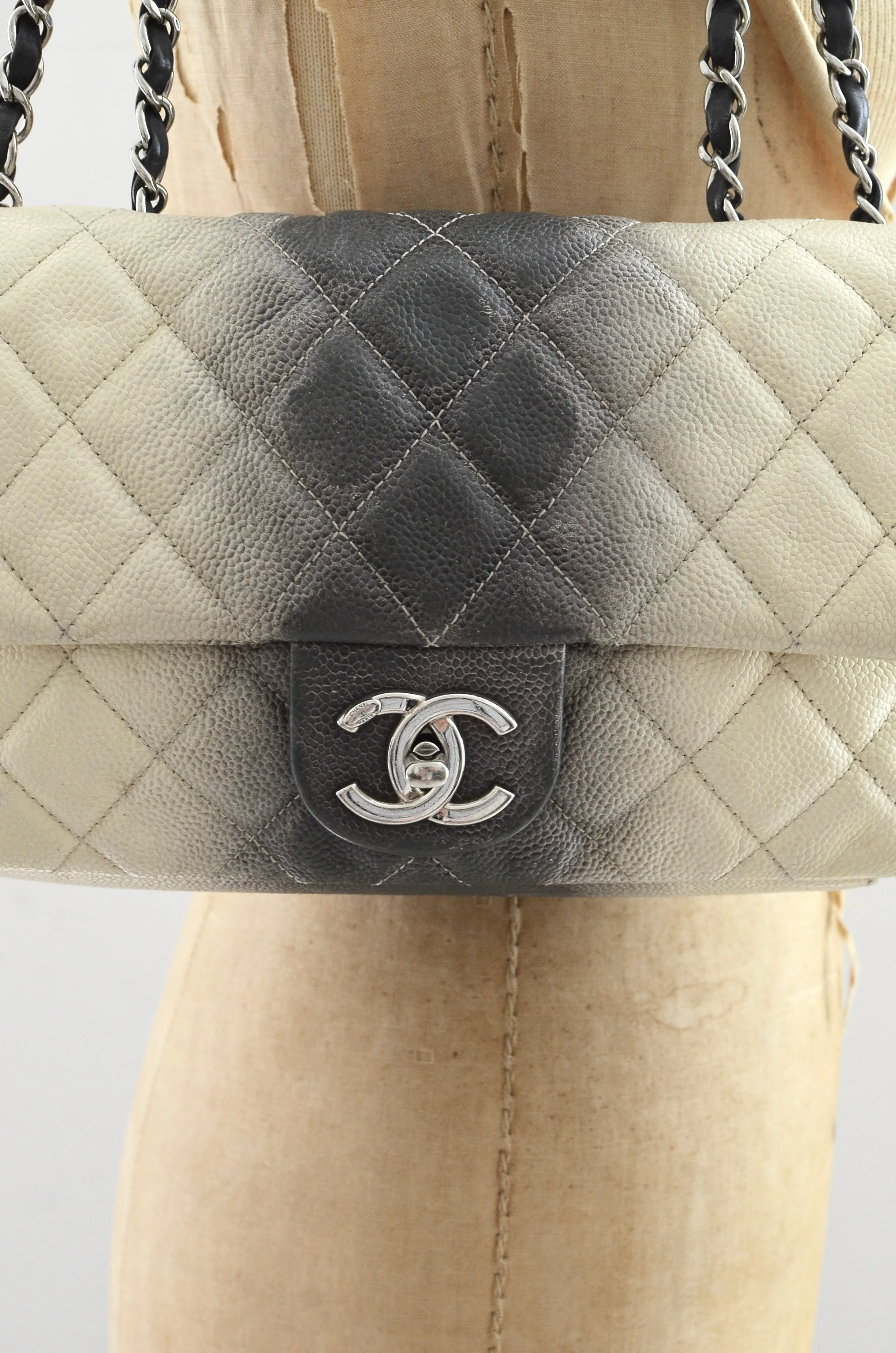 CHANEL Ombré Flap Bag