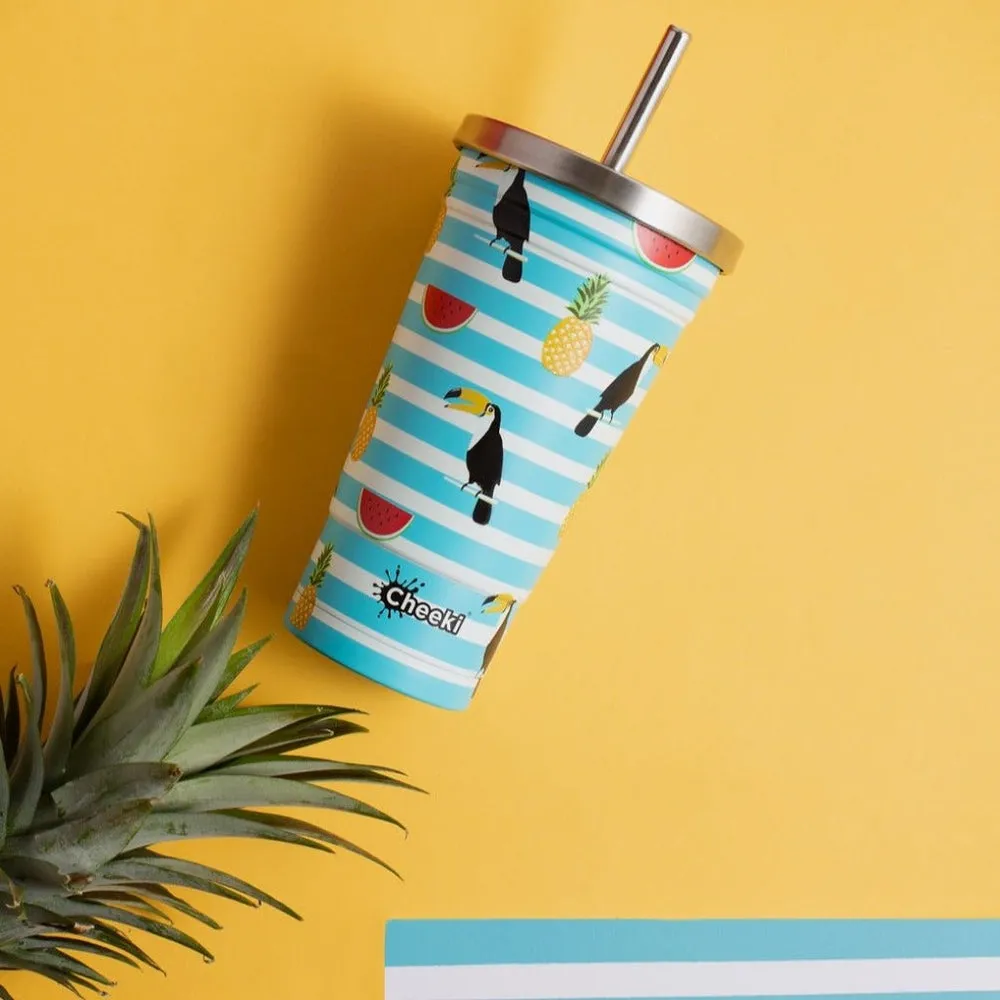 CHEEKI Stainless Steel Insulated Drink Tumbler - 500ml