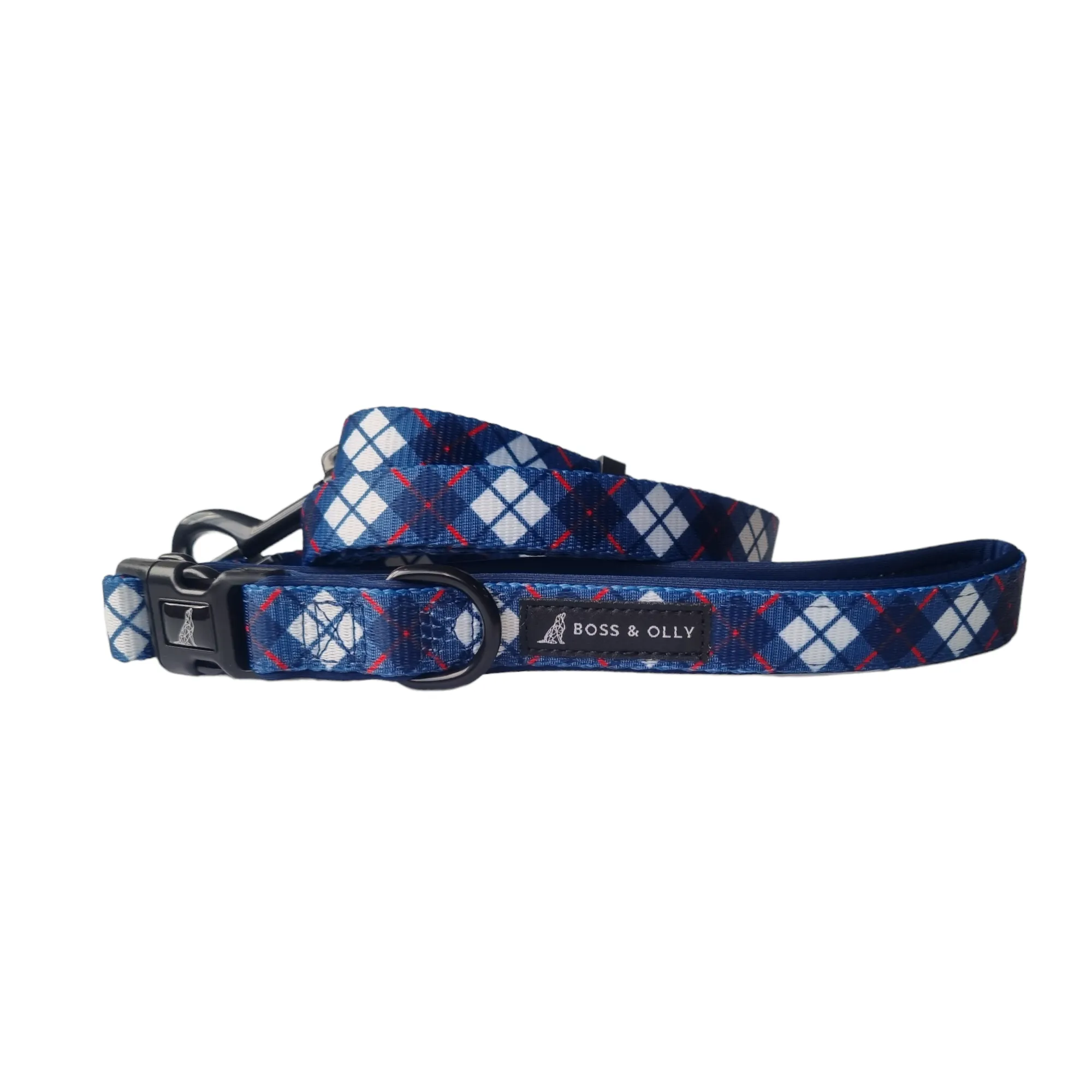 Convertible Leash