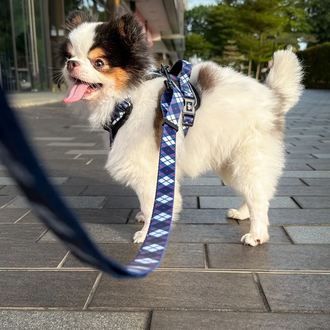 Convertible Leash