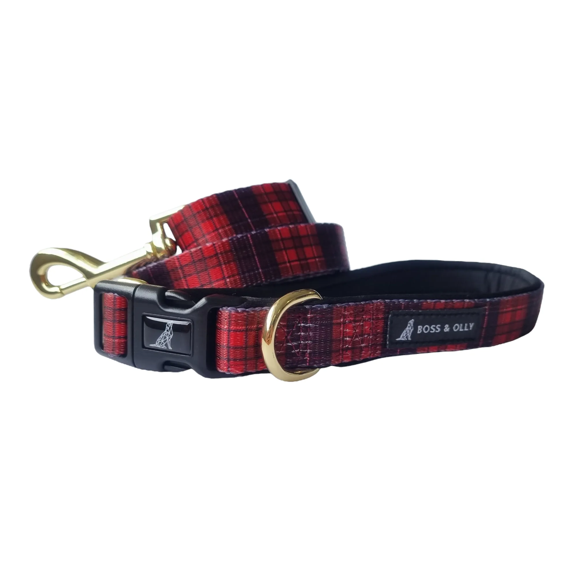 Convertible Leash