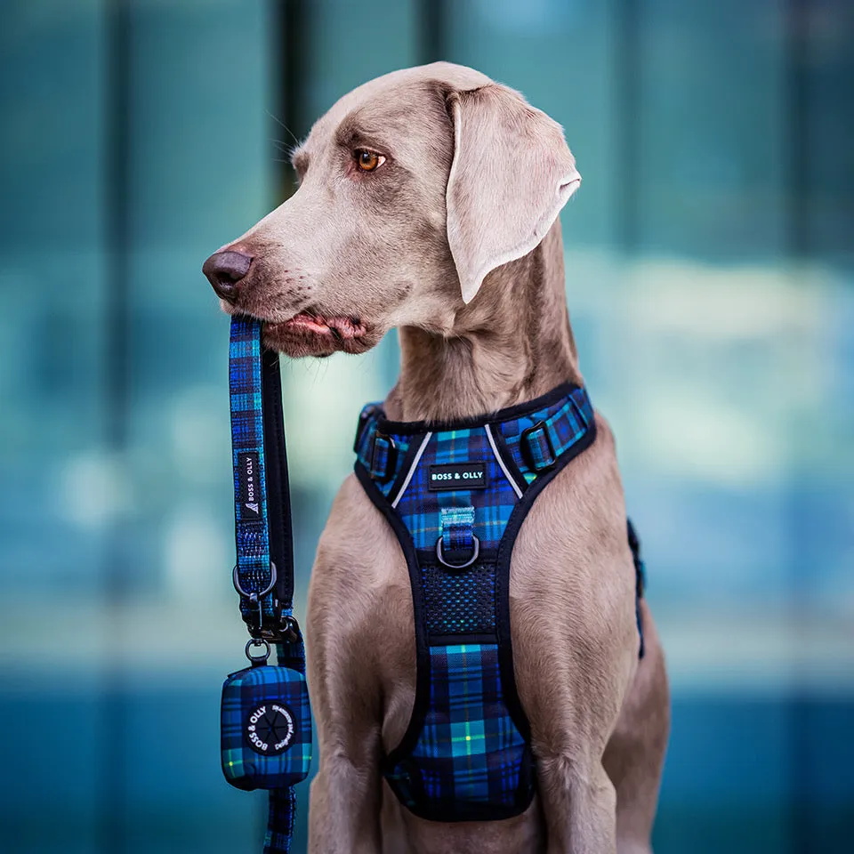 Convertible Leash