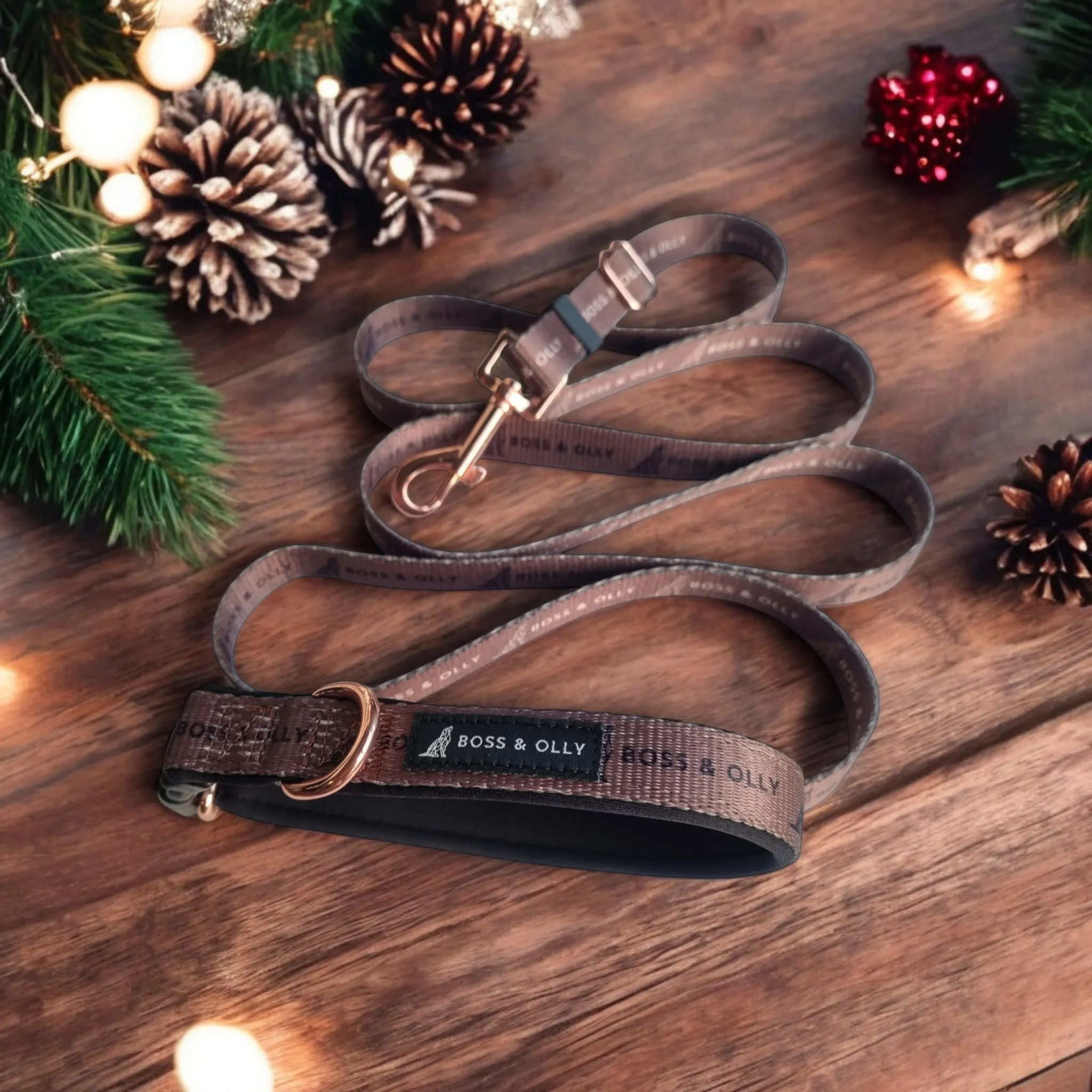 Convertible Leash