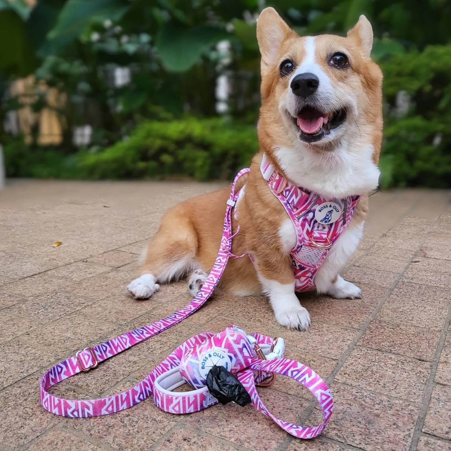 Convertible Leash