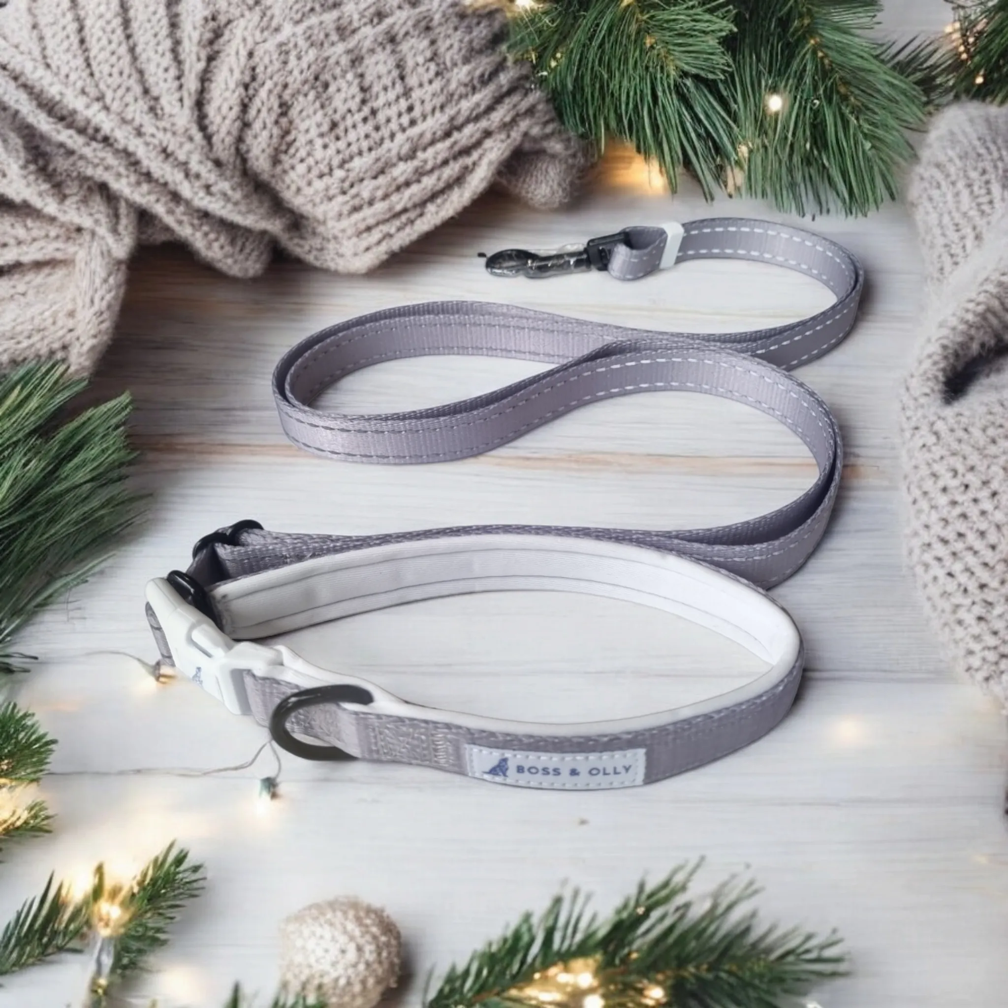 Convertible Leash