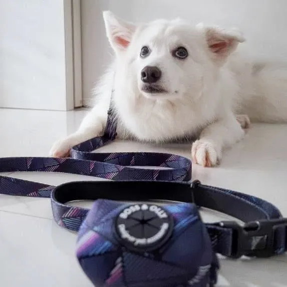 Convertible Leash