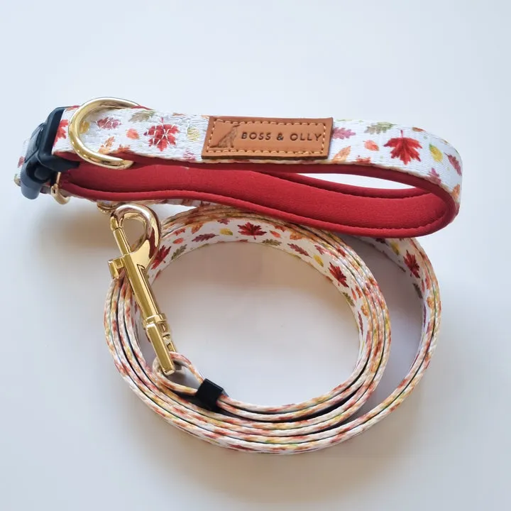 Convertible Leash
