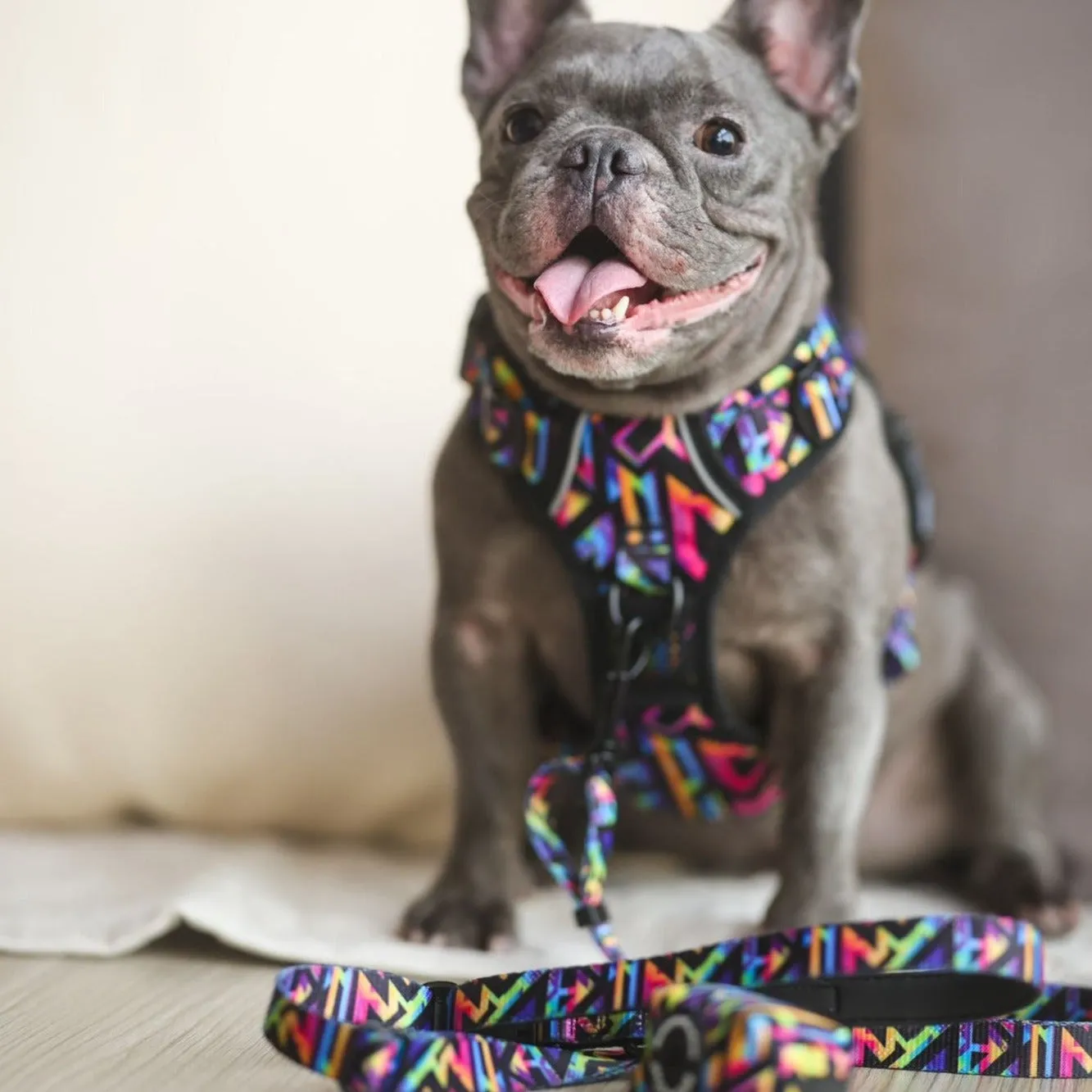 Convertible Leash