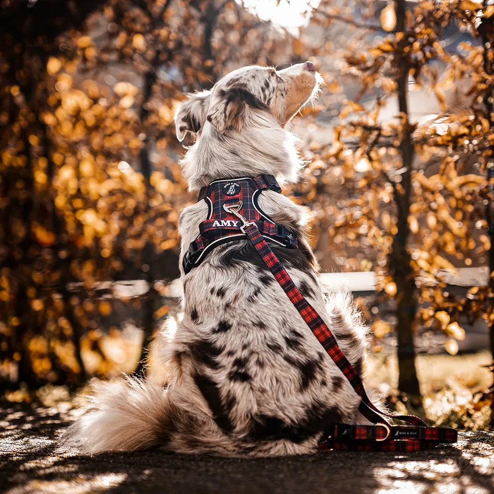 Convertible Leash
