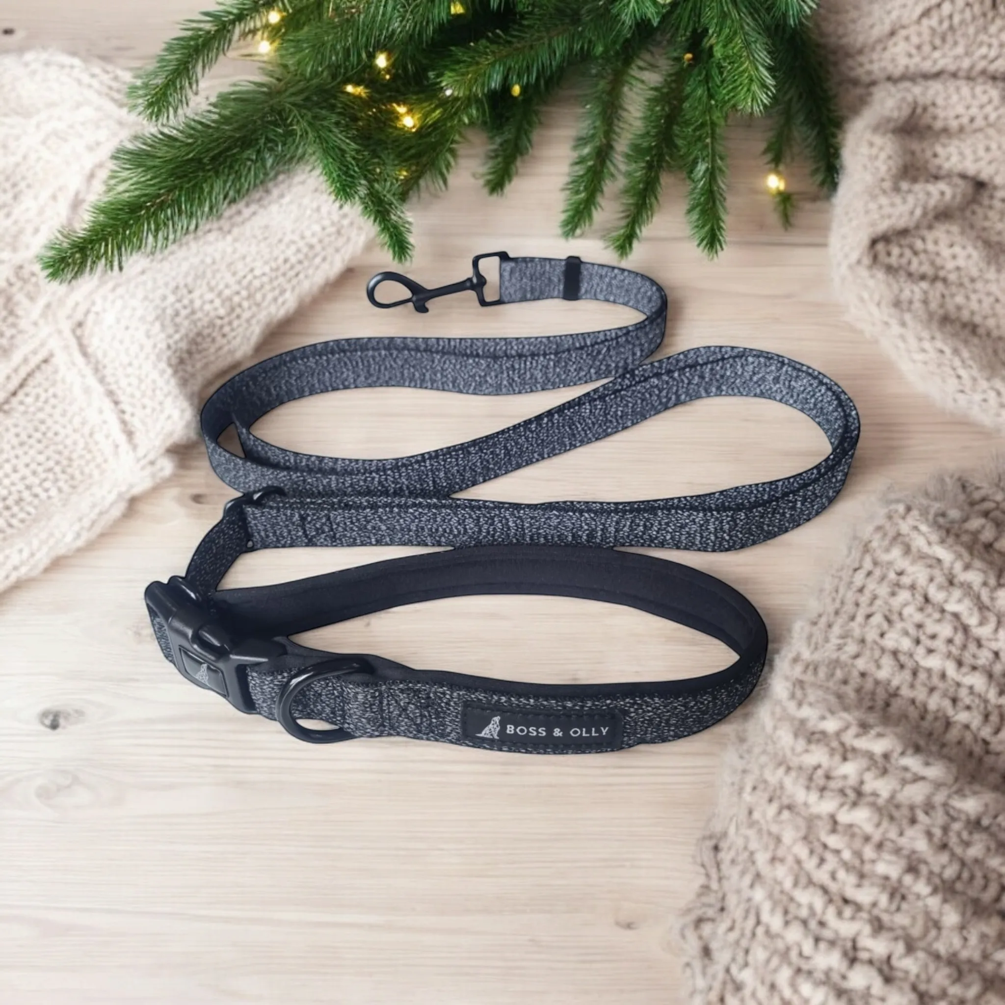 Convertible Leash