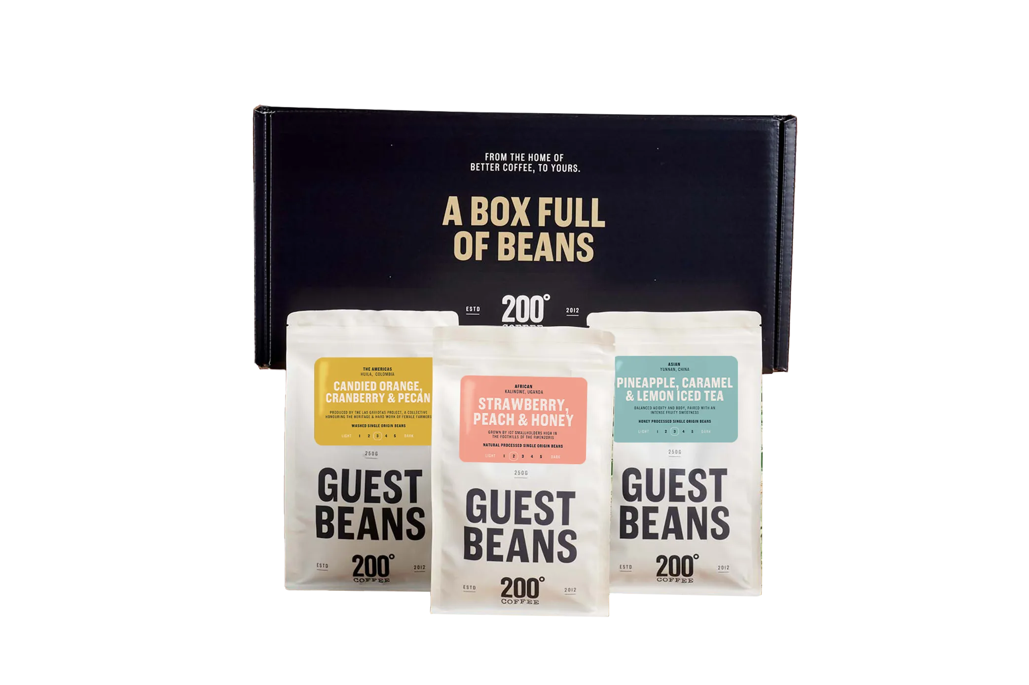 Discovery Coffee Gift Box