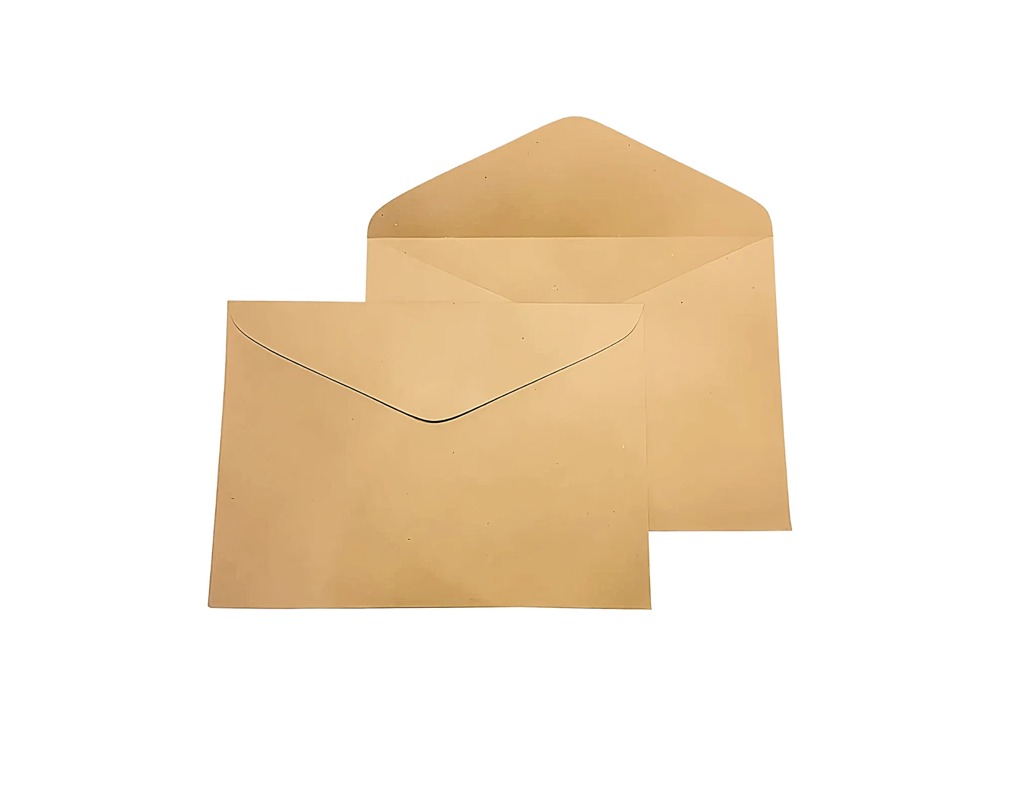 Document Brown Envelope 9x12in