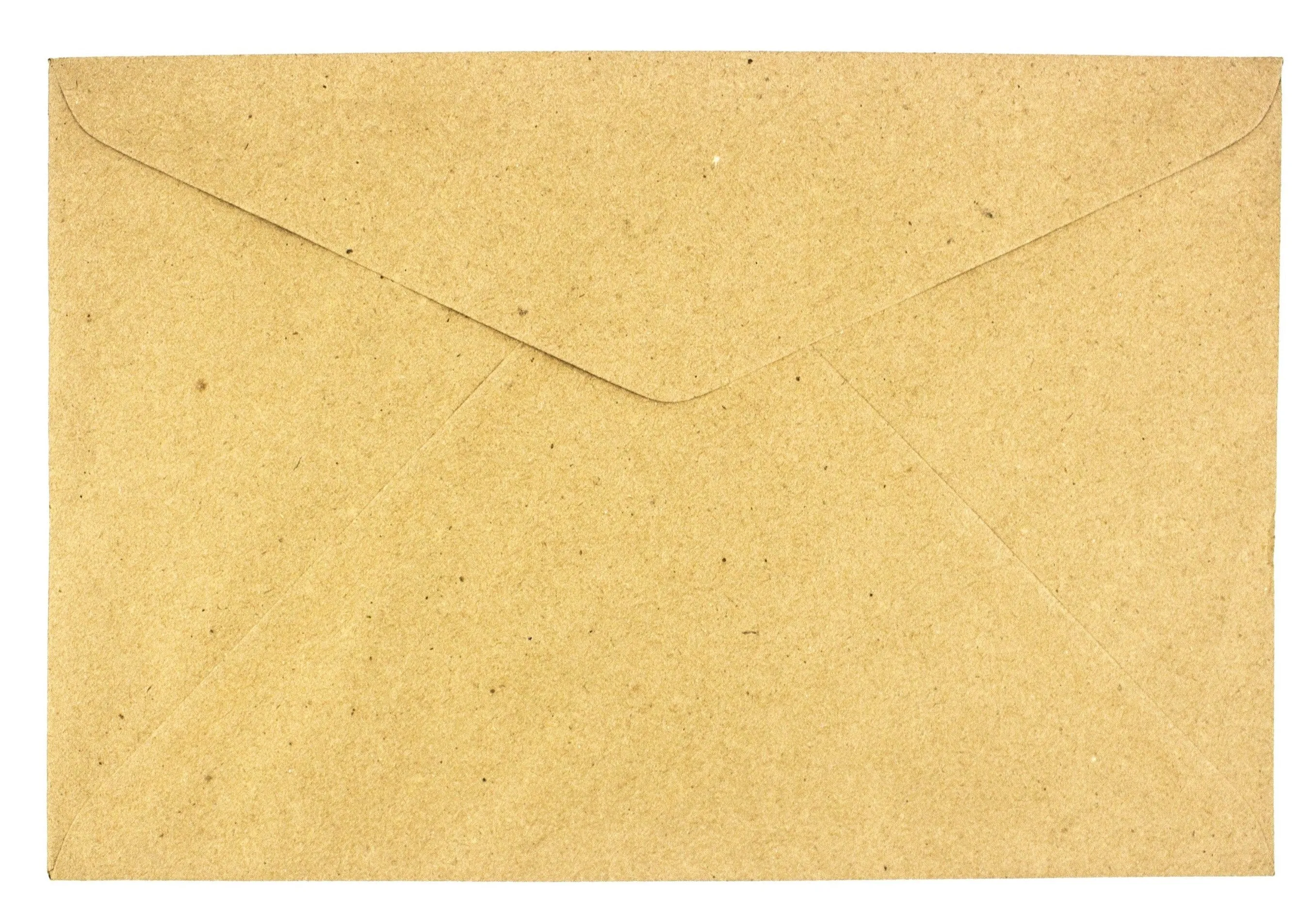 Document Brown Envelope 9x12in