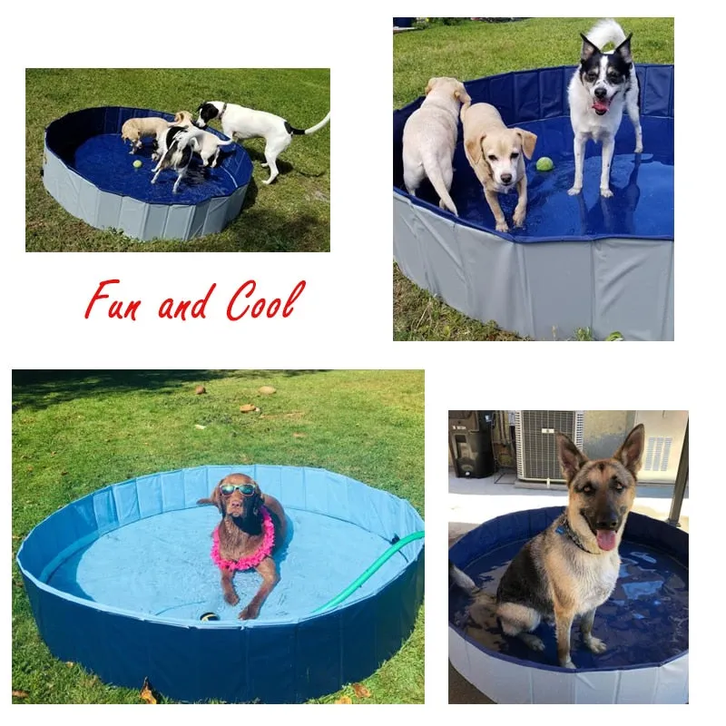 Dog Pool