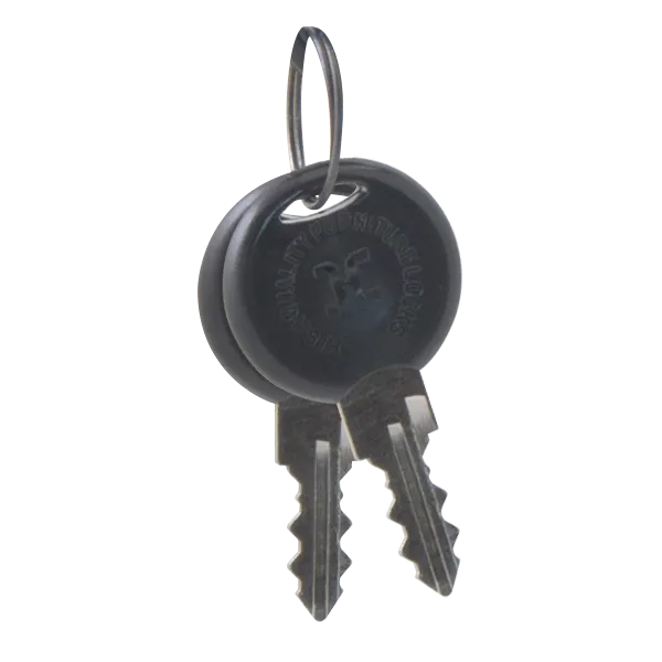 ESP DOCBOXK DOCBOX Spare Keys (Pack of 2)