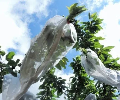 Fruit Protection Sleeves