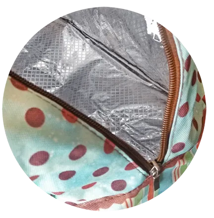 Insulated Potluck Carrier Bag with Ceramic Casserole Dish! Also Great to use as a Lunch Bag! Retails $60US 