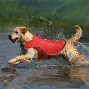Kurgo Surf N Turf Dog Life Jacket
