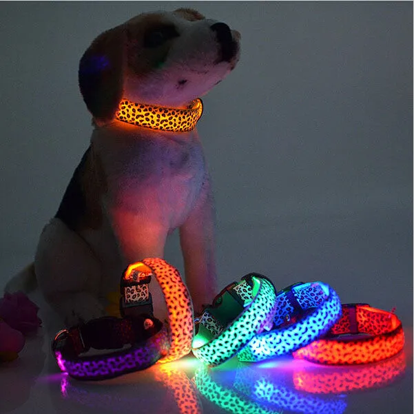 Leopard Print Reflective Collar