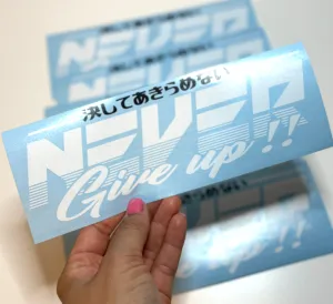 Never Give Up Sticker