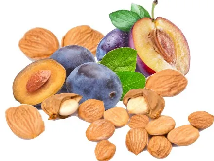 Plum Kernel Organic Carrier Oil
