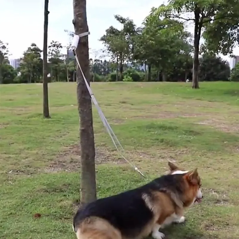 Reflective Anti-lost Dog Leash