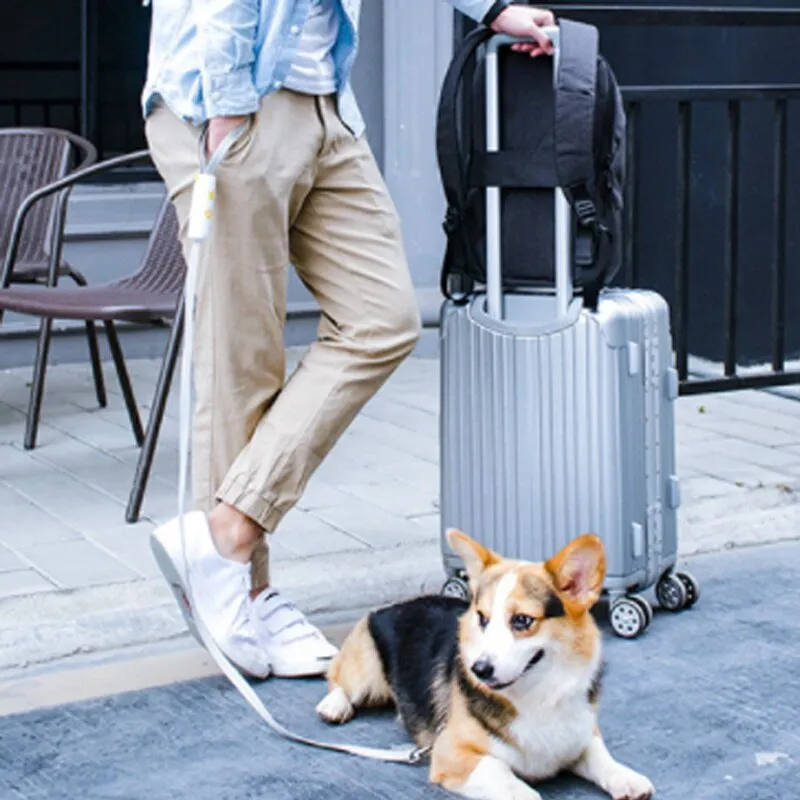 Reflective Anti-lost Dog Leash