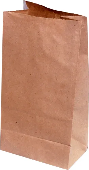 RiteEarth - 1 Lbs Plain Kraft Paper Bag, Pack of 500, 8Bn/Case (4000/Case) - PB010K