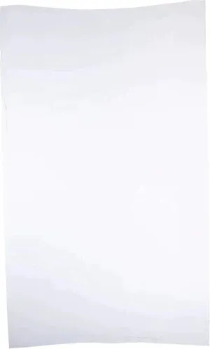 RiteSource - 11 lb, 8 x 4 x 18" White Poly Bags, 500/bx - 0306511