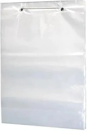 RiteSource - 13" x 19", 1 Mil Low Density Clear Wicketed Bag, 1500/cs - W10G131915