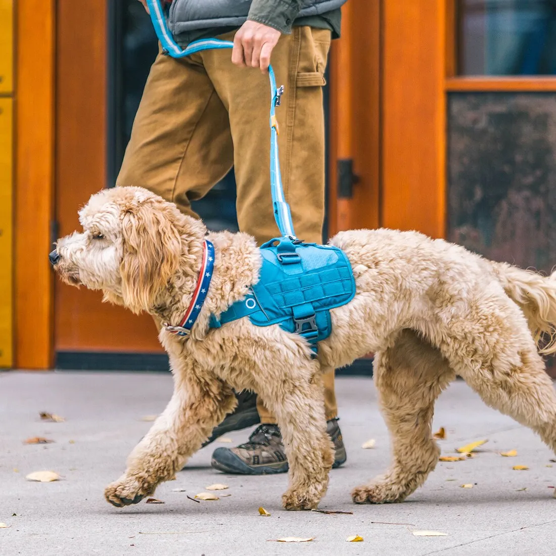 RSG Dog Townie Harness