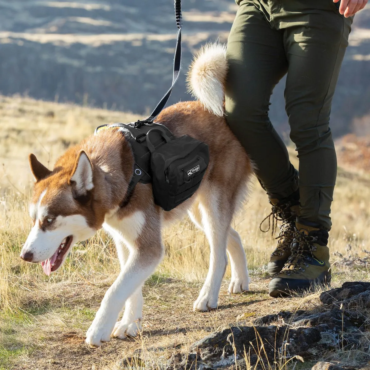 RSG Dog Townie Harness