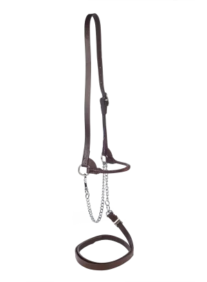 Show halter Red slimline 1 buckle
