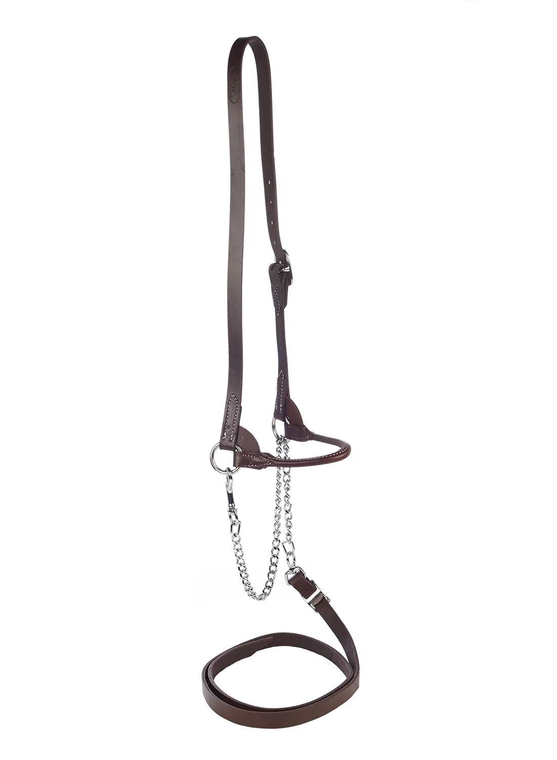 Show halter Red slimline 1 buckle