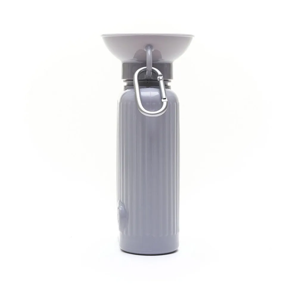 Travel Water Bottle