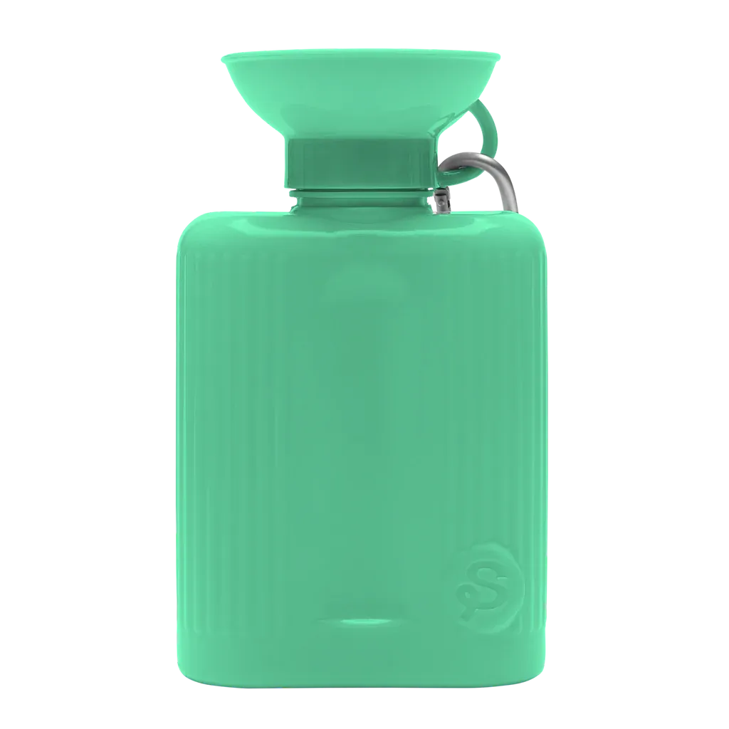 Travel Water Bottle