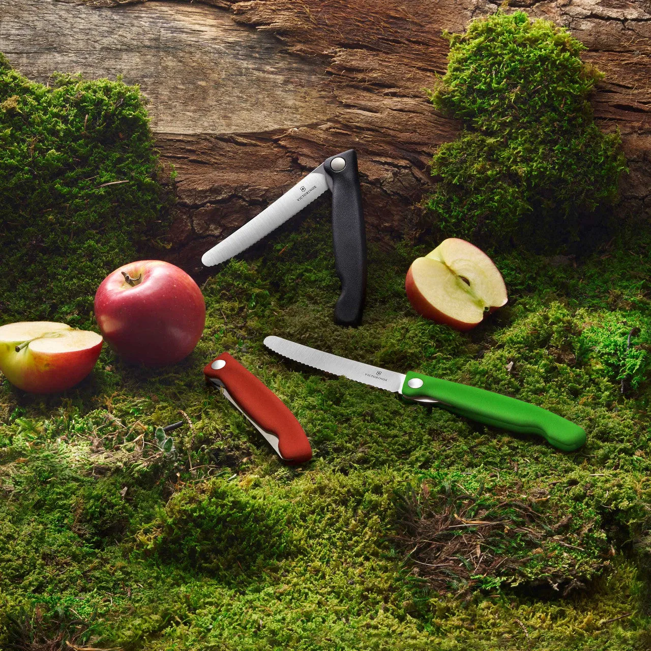 Victorinox Swiss Classic Foldable Paring Knife -Black