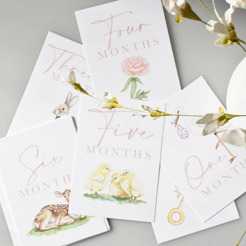 Watercolor Milestone Cards Pink