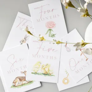 Watercolor Milestone Cards Pink